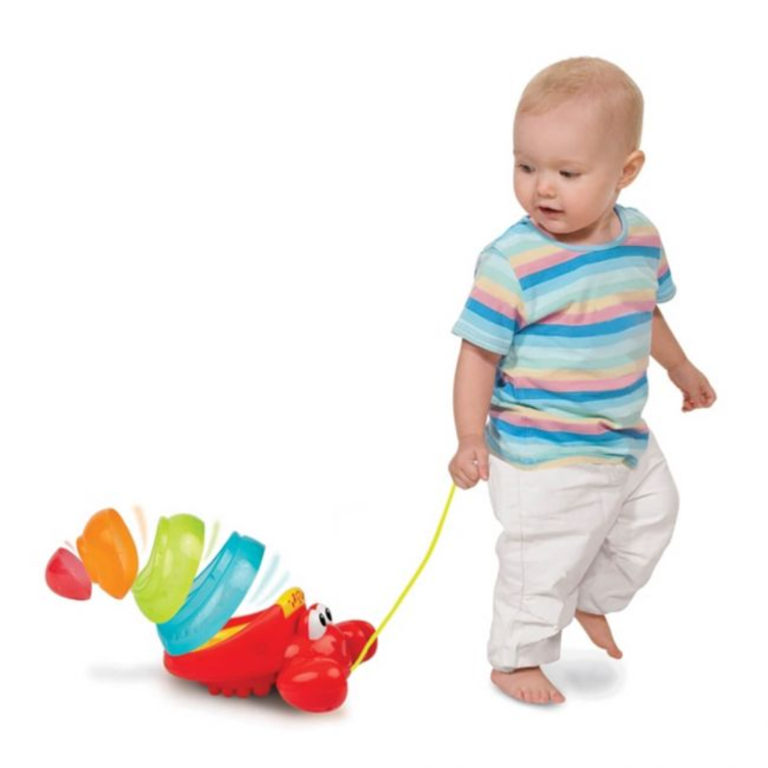 Winfun Pull Along Crab Stacker (0747)